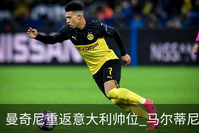 曼奇尼重返意大利帅位 马尔蒂尼上任16天即离职