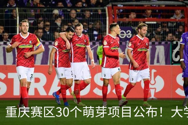 重庆赛区30个萌芽项目公布！大学生创新大赛进入新阶段